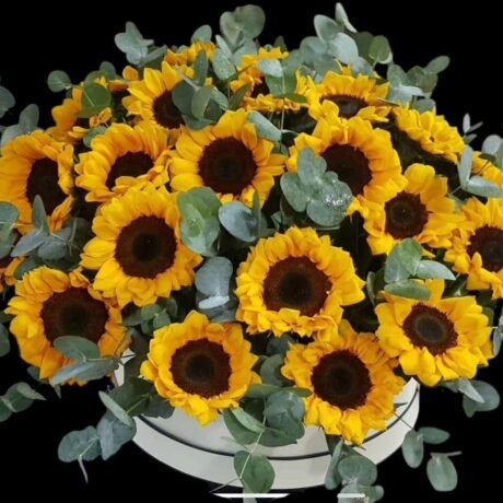 Sun flower