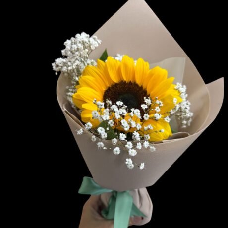 Single sun flower