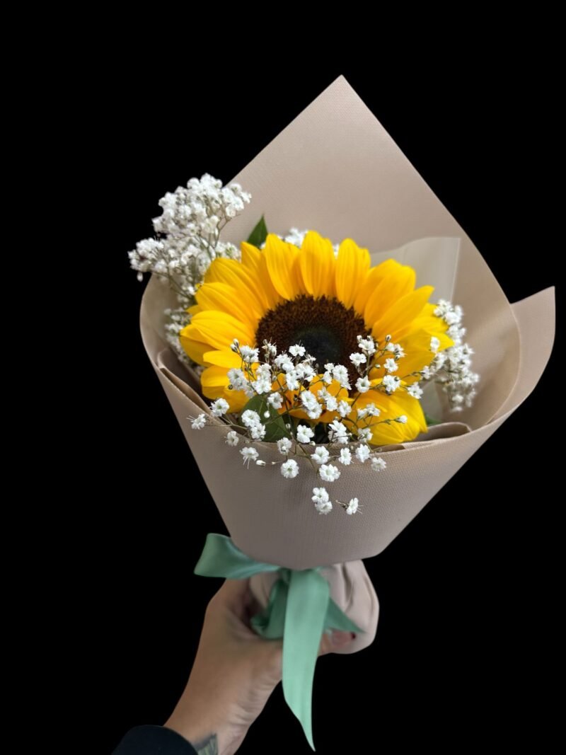 Single sun flower