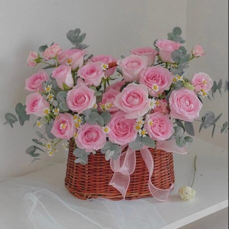 Fresh rose with