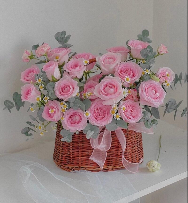 Fresh rose with