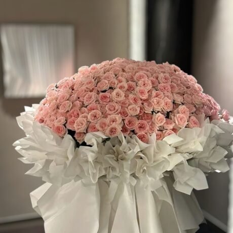 288 roses